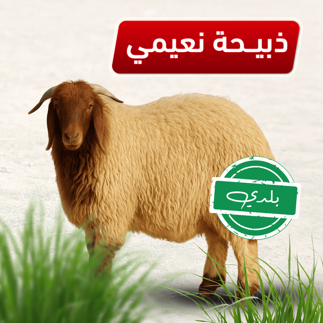 مسار الهنا | Massar Alhana