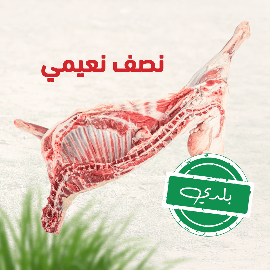 مسار الهنا | Massar Alhana