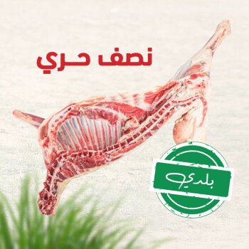 Massar