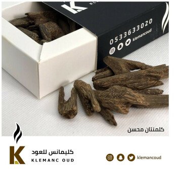 كليمانس للعود