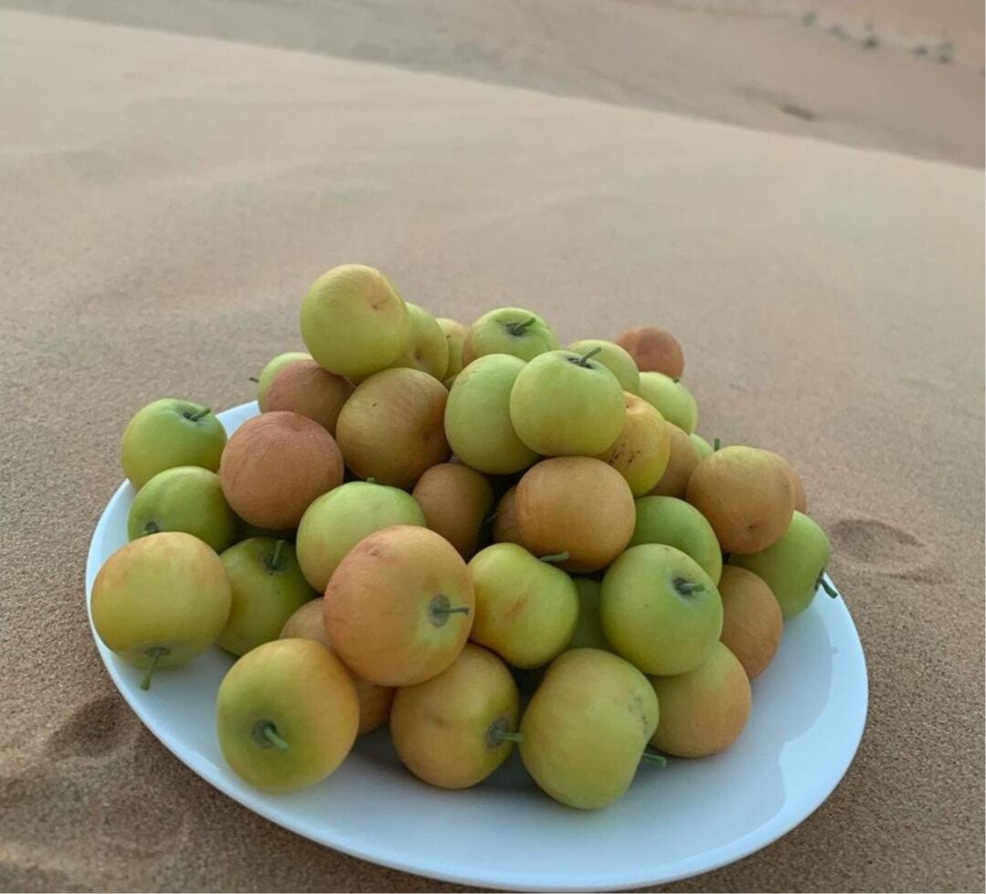 متجر ظلال السدر