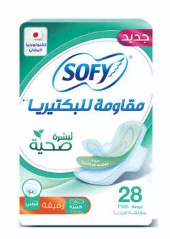 الرسمة الجميلة