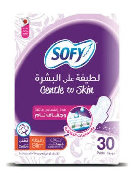 الرسمة الجميلة