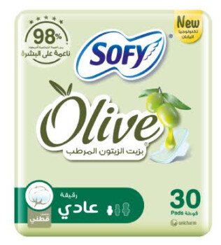 الرسمة الجميلة