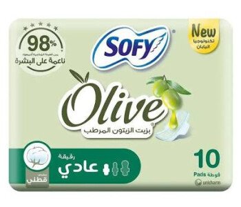 الرسمة الجميلة