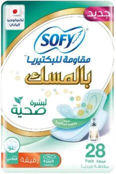 الرسمة الجميلة