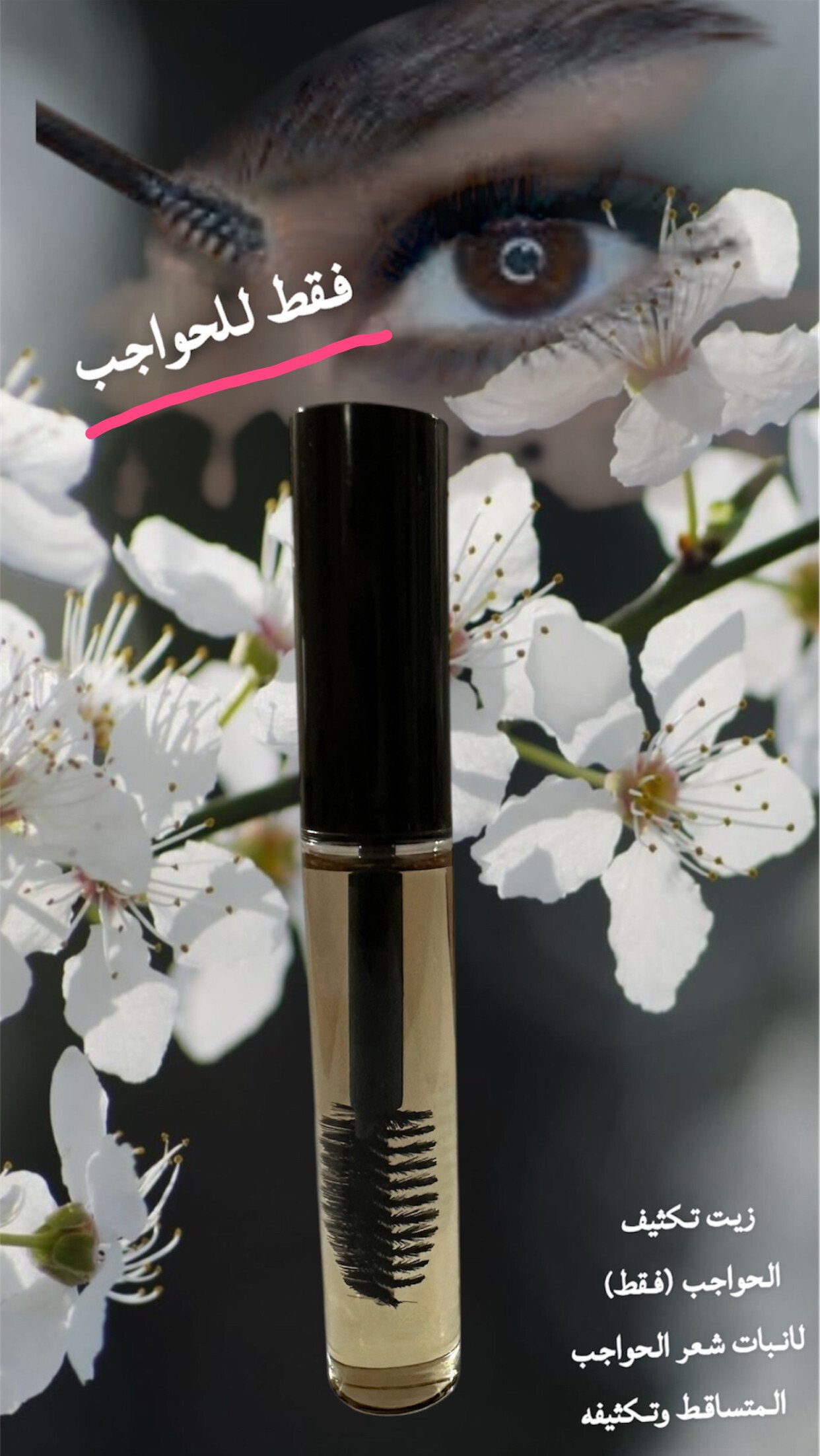 أعشاب ستيته