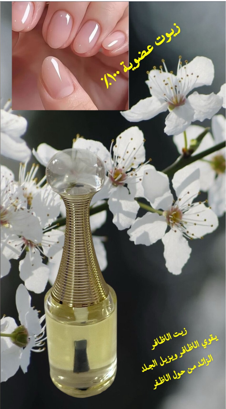 أعشاب ستيته