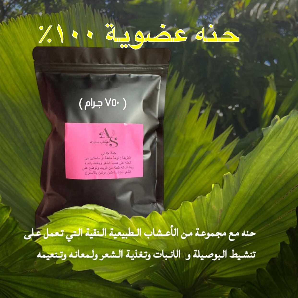 أعشاب ستيته