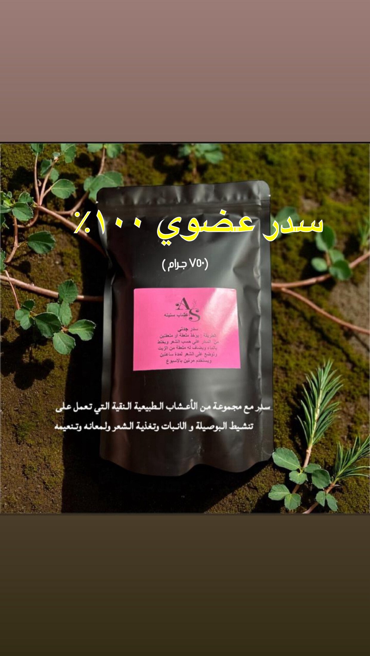 أعشاب ستيته