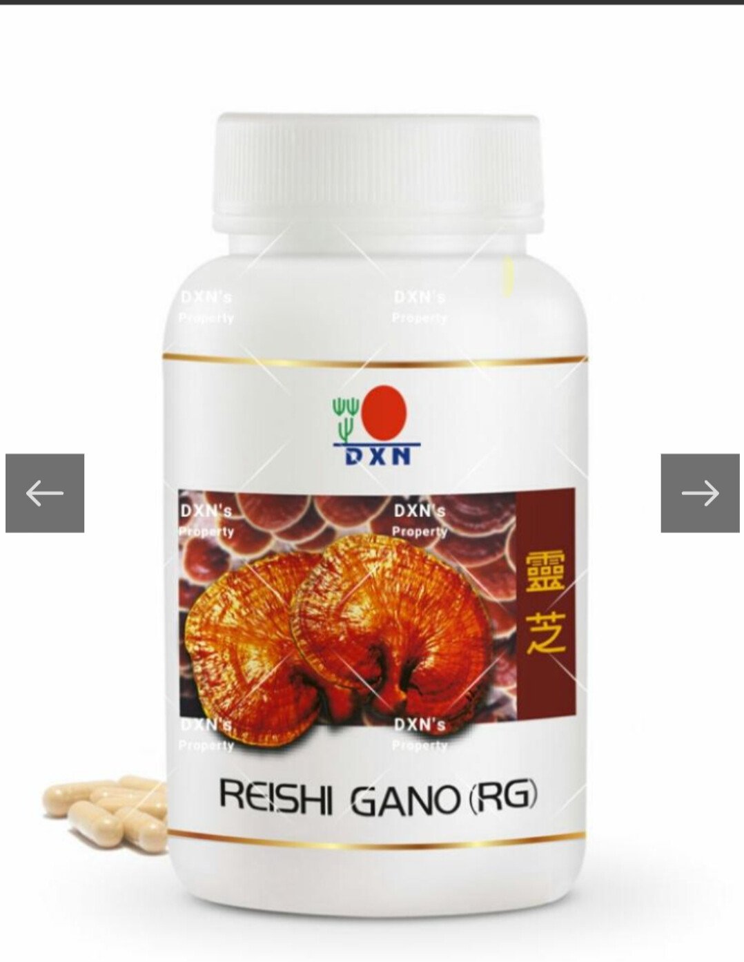 العودة للطبيعة بمنتجات عضوية