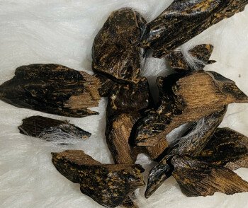 أصل الفخامه
