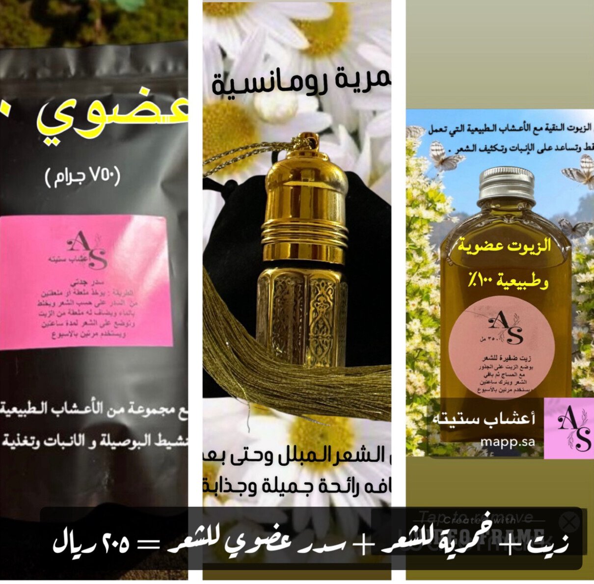 أعشاب ستيته