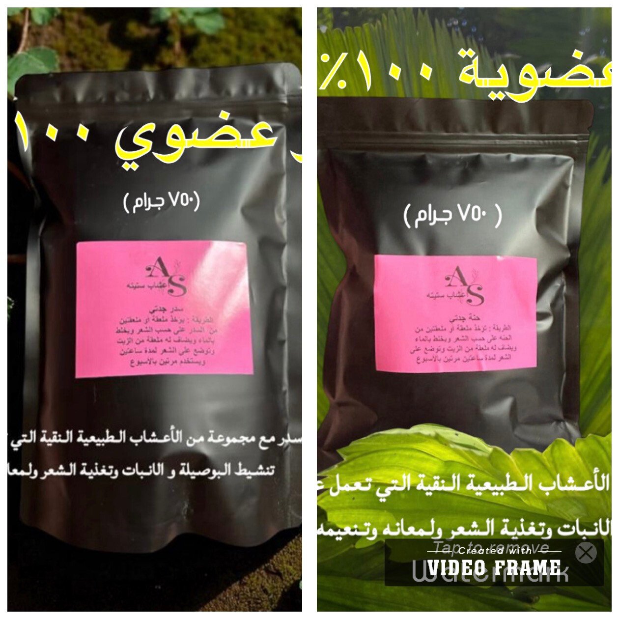 أعشاب ستيته