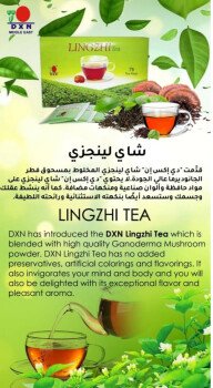 العودة للطبيعة بمنتجات عضوية