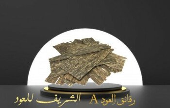 الشريف للعود