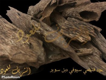 الشريف للعود