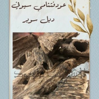 الشريف للعود