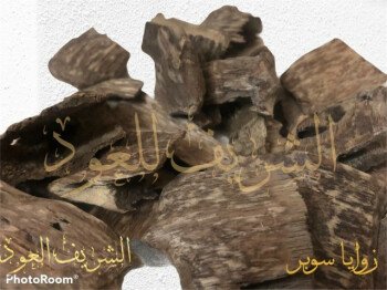 الشريف للعود