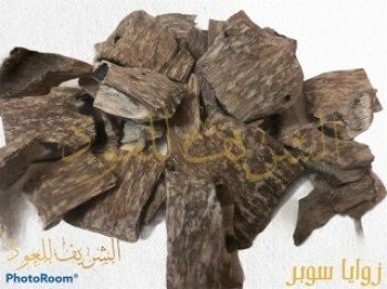 الشريف للعود