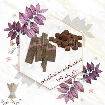 الشريف للعود