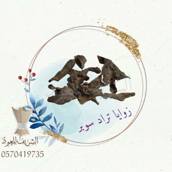 الشريف للعود