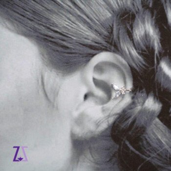 (( ربـــــــــيز  / RABEEZ ))