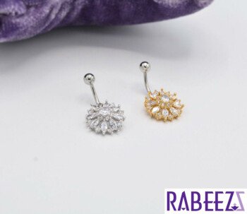 (( ربـــــــــيز  / RABEEZ ))