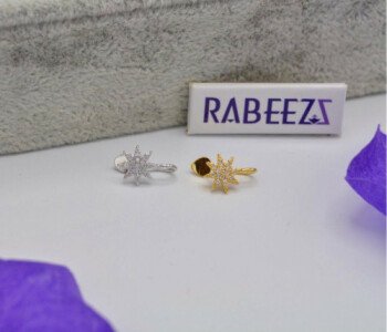 (( ربـــــــــيز  / RABEEZ ))