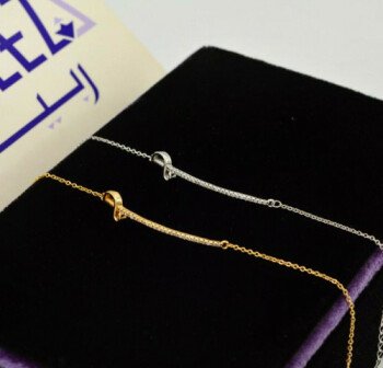 (( ربـــــــــيز  / RABEEZ ))