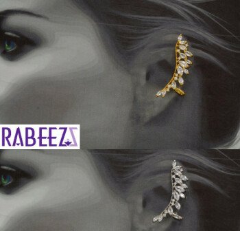 (( ربـــــــــيز  / RABEEZ ))