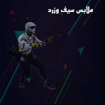 فلاش
