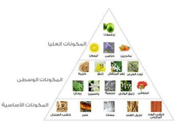 الويسي للعطور