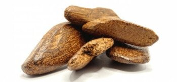 الهاجري للطيب