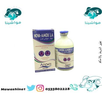 متجر مواشينا الالكتروني