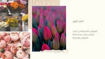 لمسة Touch