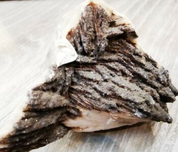 سمير جوهرجي