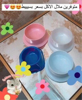 Goldeen hamsters