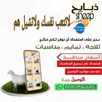 ذبائحsheep