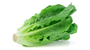 مونة المنزل