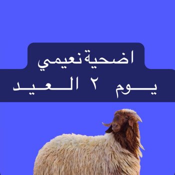 مسار الهنا | Massar Alhana