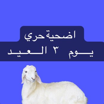 مسار الهنا | Massar Alhana