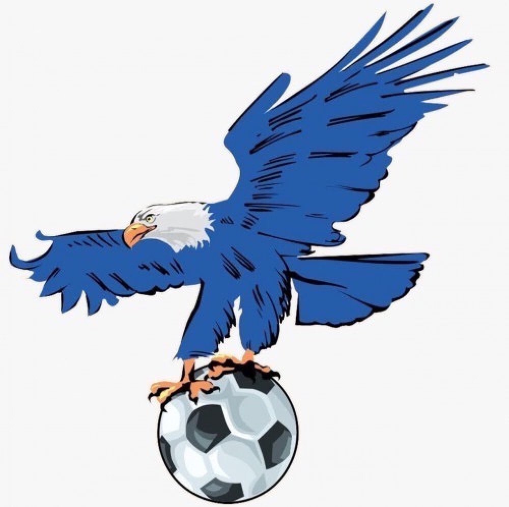 متجر فالكوني