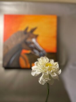 ✨🎨Art Happiness