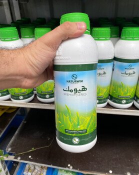 مشتل الخليج