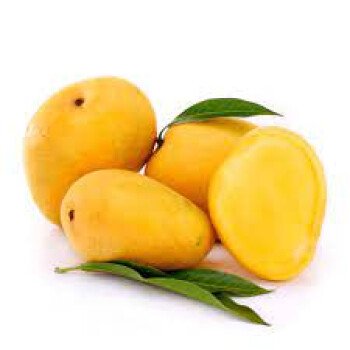 خيمة الخير