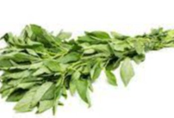خيمة الخير