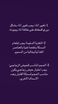 رٰكْنـ بِيِتَ الطيور