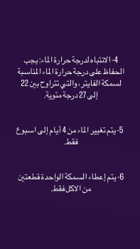 رٰكْنـ بِيِتَ الطيور