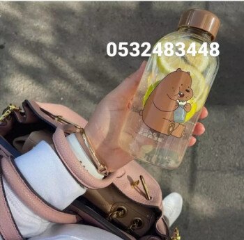 الدببة الثلاثة